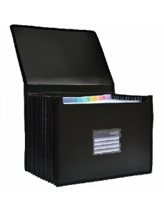 CLASIFICADOR OFFICE BOX FUELLE BUSINESS 12 DIVISIONES (41627) (41667) - CARP.FUELLE EXTENSIBLE A4 NG.HFP