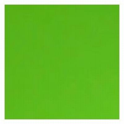 CARTULINA FABRISA VERDE HIERBA 50*65 CM.180 GRAMOS/M2...