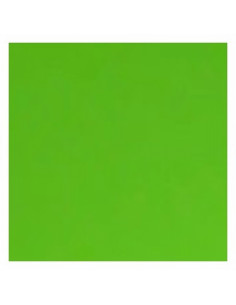 CARTULINA FABRISA DIN A4 21*30 CM.170 GRAMOS/M2 VERDE HIERBA (15463) - CARTULINA A4 VERDE HIERBA