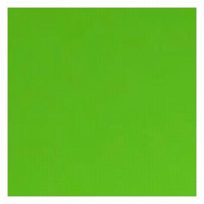 CARTULINA FABRISA VERDE HIERBA DIN A4 21*30 CM.170...
