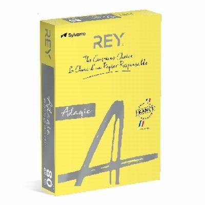 PAPEL ADAGIO DE COLOR AMARILLO INTENSO DIN A4 80...