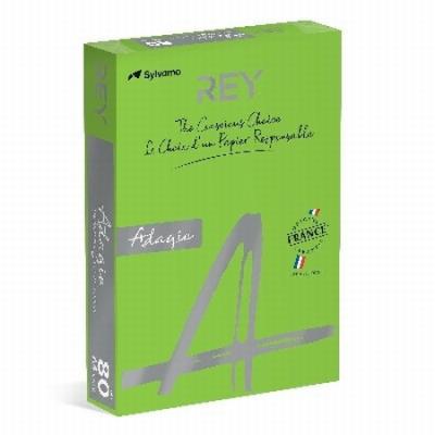 PAPEL ADAGIO DE COLOR VERDE HIERBA DIN A4 80 GRAMOS/M2...