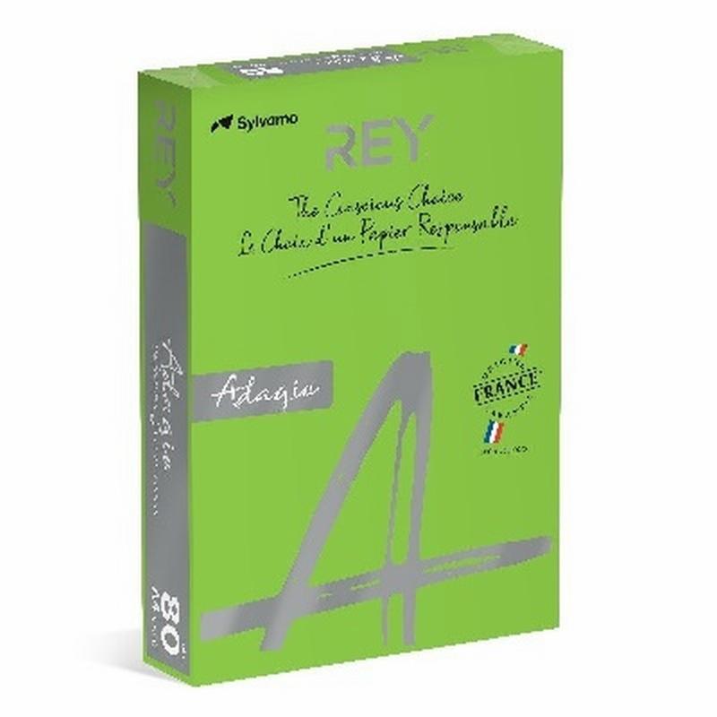 PAPEL ADAGIO DE COLOR VERDE HIERBA DIN A4 80...