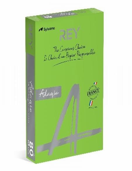 PAPEL ADAGIO DE COLOR VERDE HIERBA DIN A4 80 GRAMOS/M2 500 HOJAS (3368220102995) - PAP.VERDE HIERBA 80GR.A4.500H COLOR 52