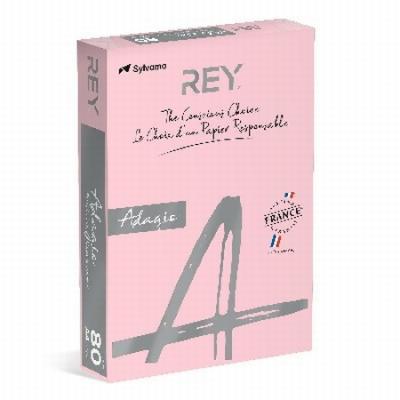 PAPEL ADAGIO DE COLOR ROSA DIN A4 80 GRAMOS/M2 500 HOJAS...
