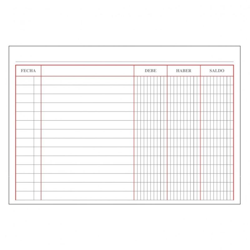 LIBRO DOHE CUENTAS CORRIENTES -DEBE, HABER Y...