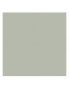 CARTULINA FABRISA GRIS 50*65 CM.180 GRAMOS/M2 (15568) - CARTULINA GRIS