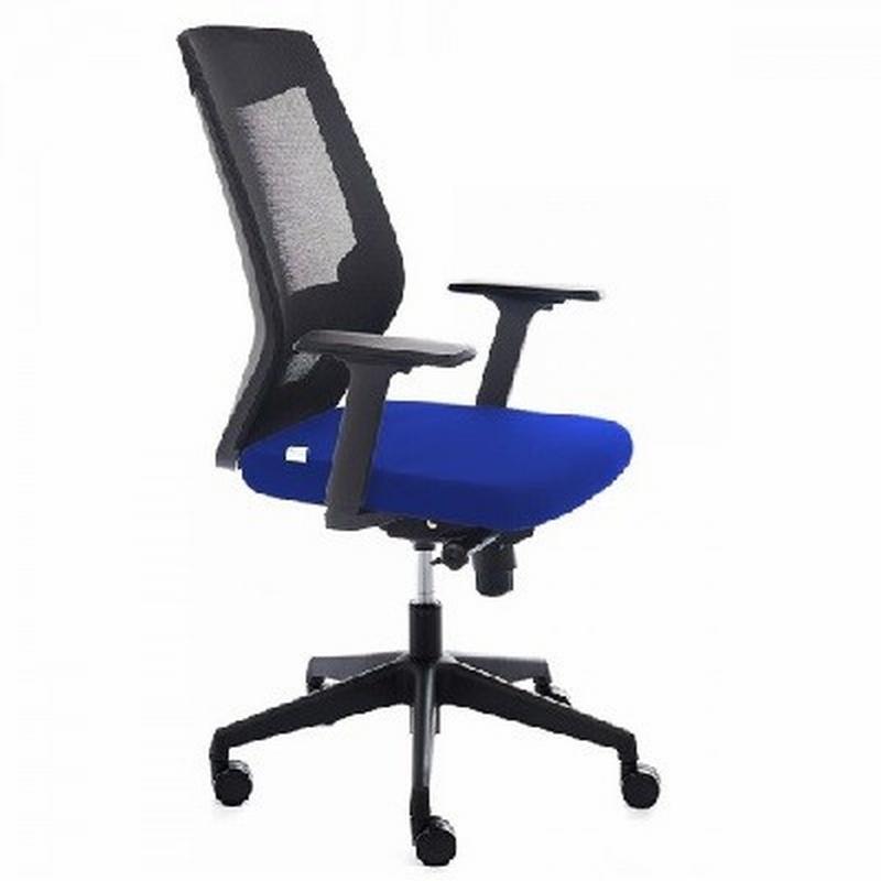SILLA ROCADA CON BRAZOS TAPIZADA EN TELA IGNIFUGA AZUL Y RESPALDO EN POLIMERO MECANISMO SINCRONIZADO (RD-908-3)