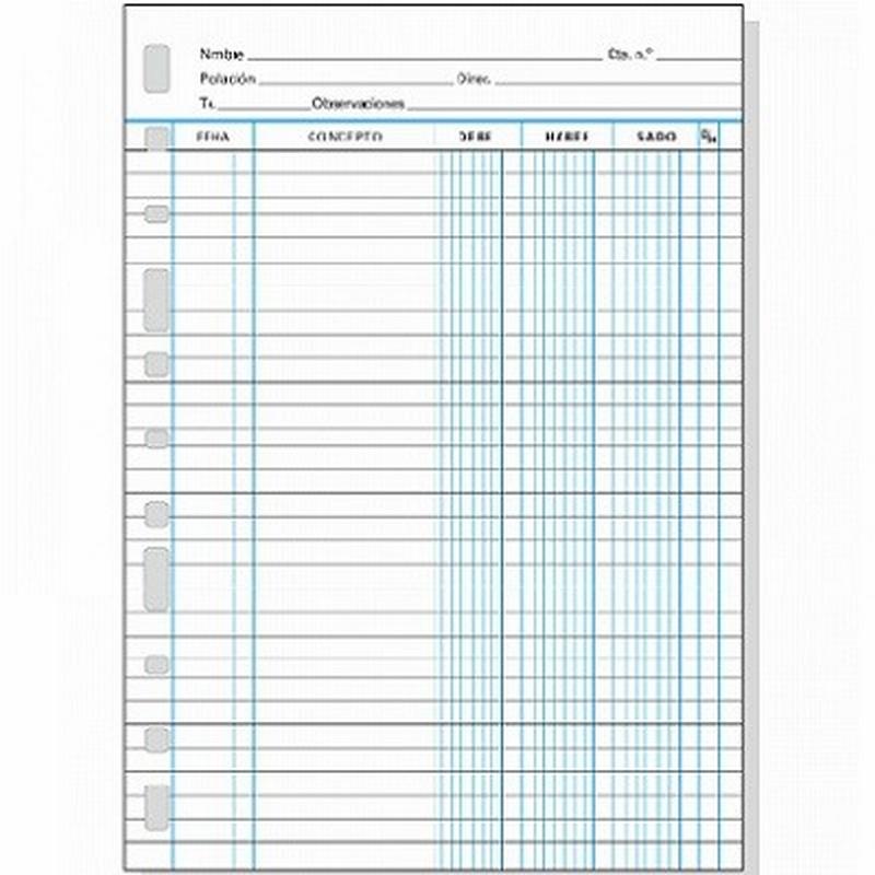 RECAMBIO MULTIFIN CUENTAS CORRIENTES 3005 FOLIO NATURAL 215x310 MM (4175500) - RECAMB.CONTAB.F.NAT.C/C 3005