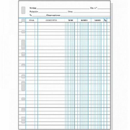 RECAMBIO MULTIFIN CUENTAS CORRIENTES 3005 FOLIO NATURAL 215x310 MM (4175500) - RECAMB.CONTAB.F.NAT.C/C 3005
