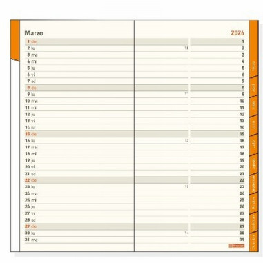 AGENDA ANUAL FINOCAM 2027 ENCUADERNADA MIN MES/VISTA NEGRO 80X150 MM (331135027) - AGEND.FINOCAM BOLSILLO MV 80x150 PL4