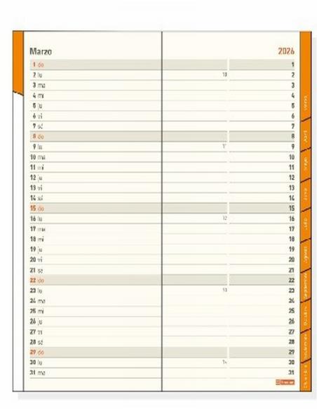 AGENDA ANUAL FINOCAM 2026 ENCUADERNADA MIN MES/VISTA NEGRO 80X150 MM (331135026) - AGEND.FINOCAM MIN BOLSILLO PL4 80x150 M/V