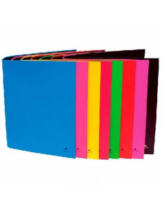 CARPETA MARIOLA 2 ANILLAS A5 CARTON BRILLANTE (242FP) - CARP.2ANI.1/4 COLORES MARIOLA