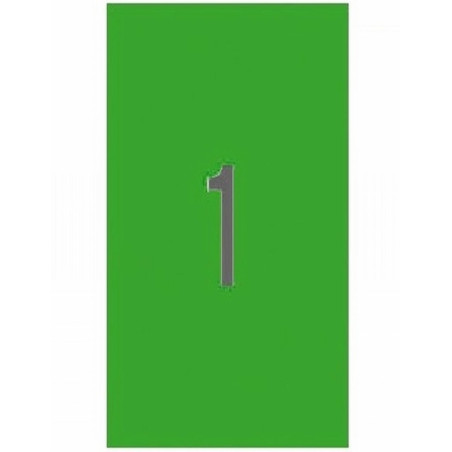 ETIQUETA ADHESIVA APLI LASER/COPY/INKJET 210X297 MM. VERDE DIN A4 100 HOJAS 100 ETIQUETAS (11841) -