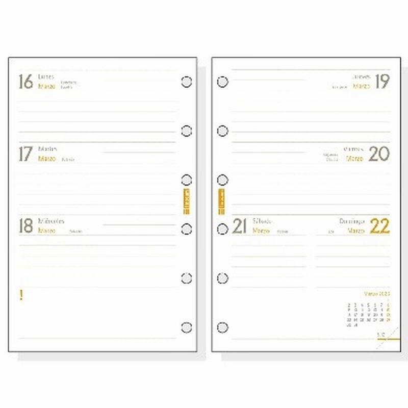 RECAMBIO ANUAL FINOCAM CLASSIC 2026 C299...