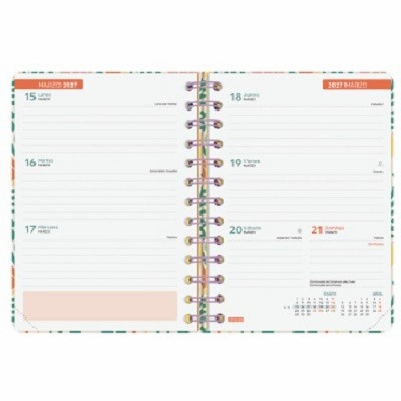 AGENDA ESCOLAR 26-27 FINOCAM COSMO CARTON 1/8 (14x18 CMS) SEMANA VISTA CURSO 2026-2027 (537010527) (537010627) (537010827)
