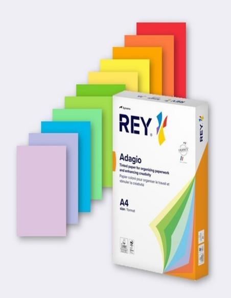 PAPEL ADAGIO DE COLOR SALMON DIN A4 80 GRAMOS/M2 500 HOJAS (3368220102933) - PAP.SALMON 80GRS.A4 500HJS. COLOR 08/91